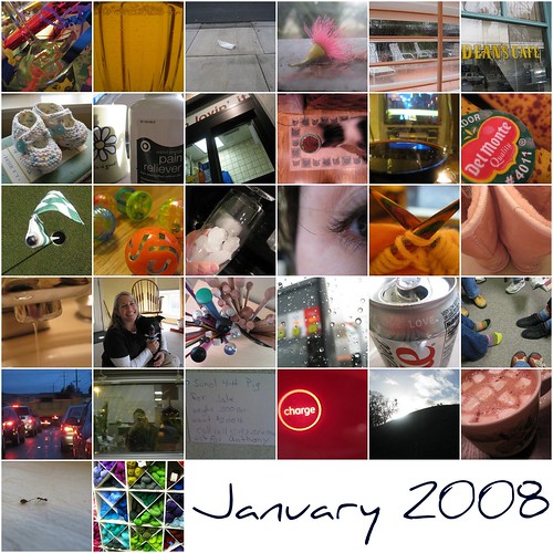 Project 365 January 2008