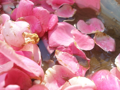 mudpies and rose petals