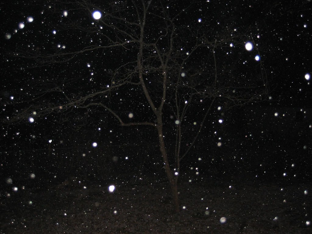 Snow at night