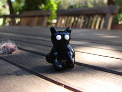 Freaky black cat