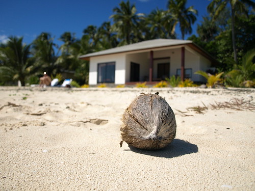 La coco du bungalow