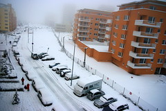 Snow_in_Brno010