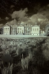 Infrared Image