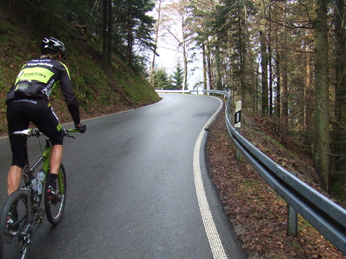 Riding in the Black Forest