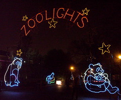 Zoolights arch