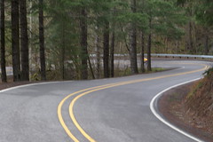 Timber Road switchback