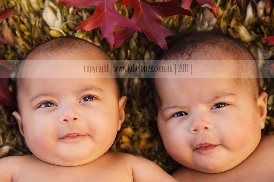 canberra baby photographer autumn