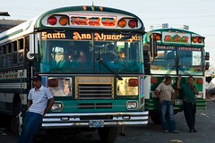 Bus Gang