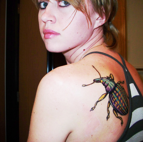 Insect tattoo. Tattoo