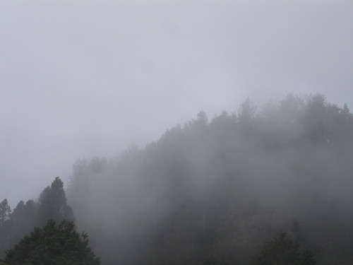 嵐霧