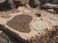 typical roof of dogon