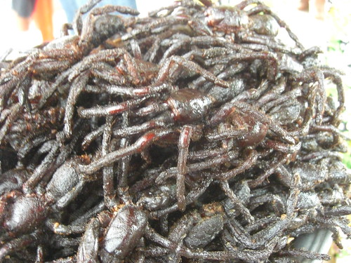 fried tarantulas