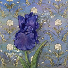 "Quiet Night" Purple Iris on Blue, Print by Elizabeth Ruffing