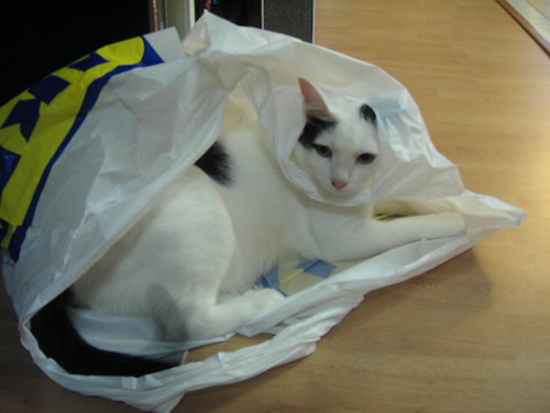 He loves his plastic bags