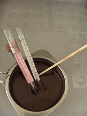 tempering the chocolate