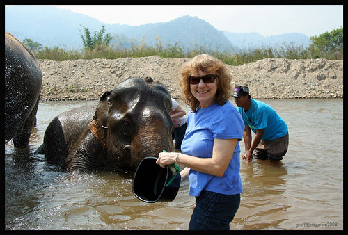 ELEPHANT NATURE PARK , THAILAND 2008