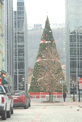 Christmas tree in Pittsburgh, PA