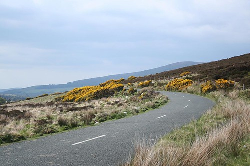 Wicklow Mountains National Park - Back Towards Blessington on the R759 