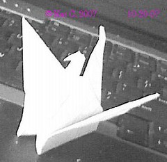 origami bird oct 20 2007