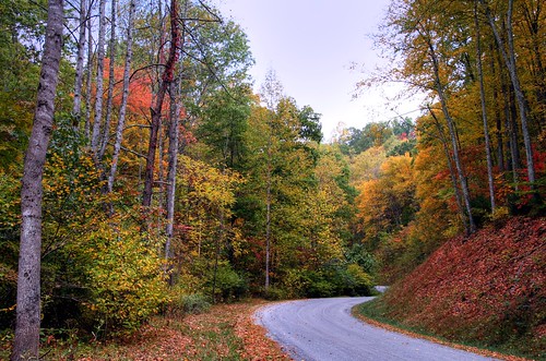 Autumn Road Home