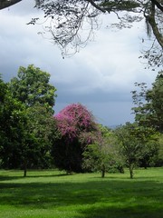 Botanical gardens