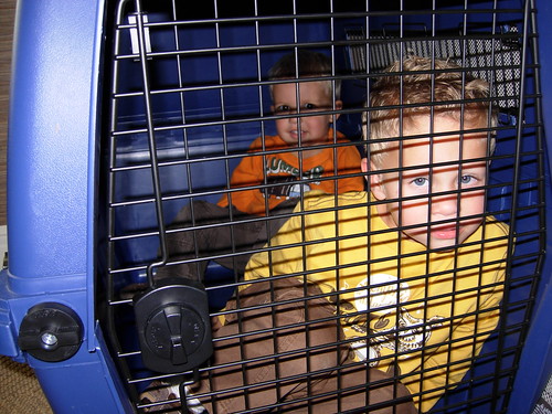 kids in a crate 4