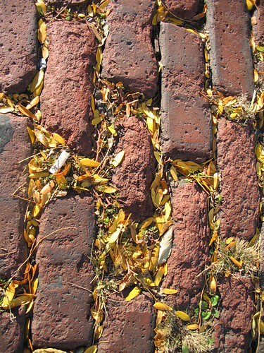 Brick and Leaves