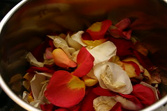 rose petals -- before