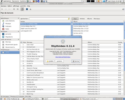 Rhythmbox 0.11.4 sous Arch Linux 64 bits
