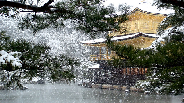 winter / snow / architecture / tree / garden / gold : kinkaku-ji temple, kyoto japan photo