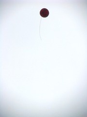PRAYERS LISTED IN A BALLOON... by mrfpoonin28