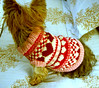 Puppy Love Dog Sweater Pattern