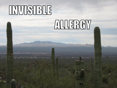 Invisible Allergy