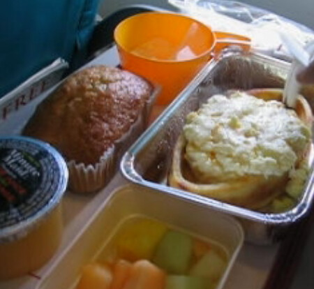Airplane food screenshot