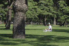 Tokyo - Imperial Palace Garden