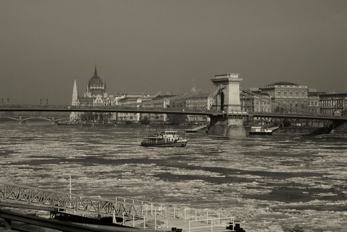 frozen Danube