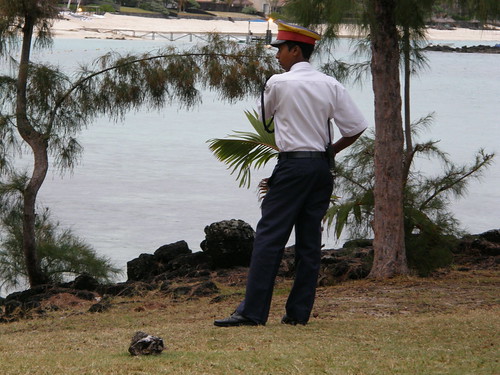 Guard on the beach