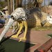 Ostrich and giant fish