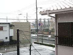 080209大阪は久しぶりの雪