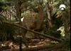 63 titanosaur during earthquake