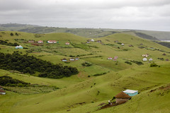 Xhosa meadows