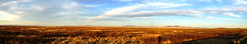 Desert scenery in New Mexico, USA