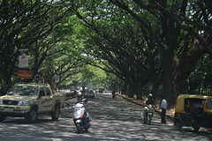 Nanda Road