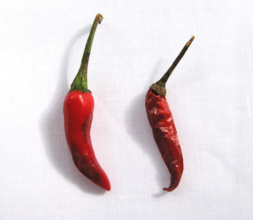 Oven-Dried Chili Pepper