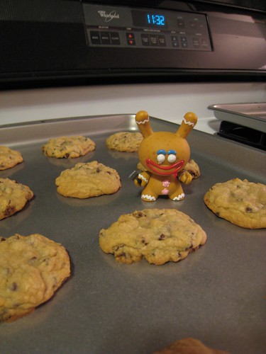Baking with Dunny