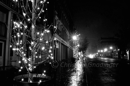 City Lights / Christmas Lights