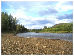 View from our RV - Chena River State Recreation Area Fairbanks CLICK TO ENLARGE