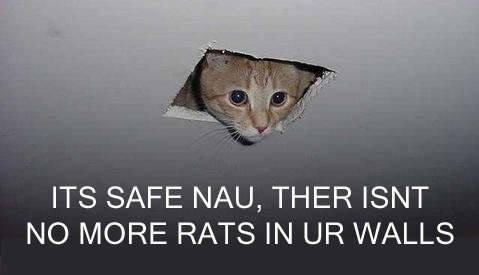 Rats in Ur Walls