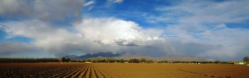 Fields near La Mesa, New Mexico, USA