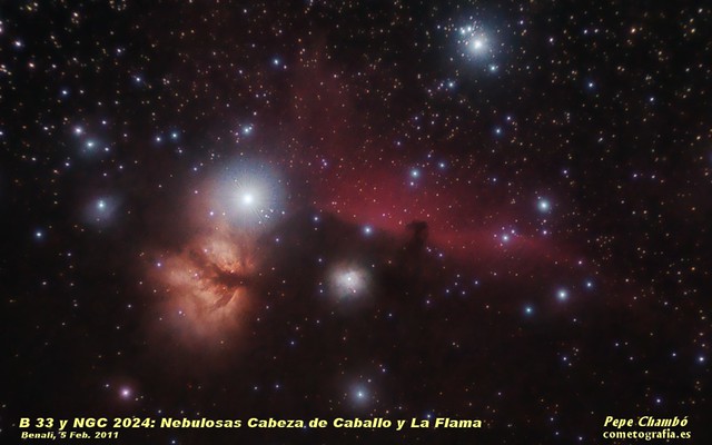 Horsehead and Flame nebulas